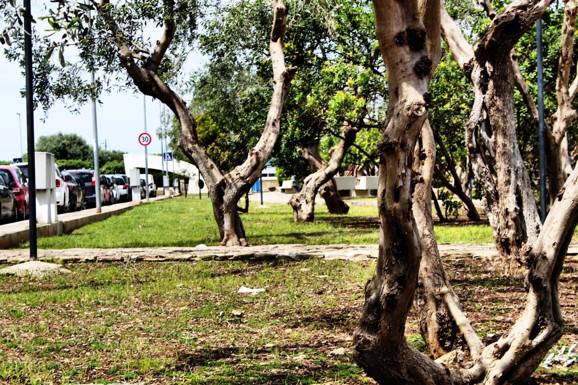 Fara 8 Daire Bari Dış mekan fotoğraf